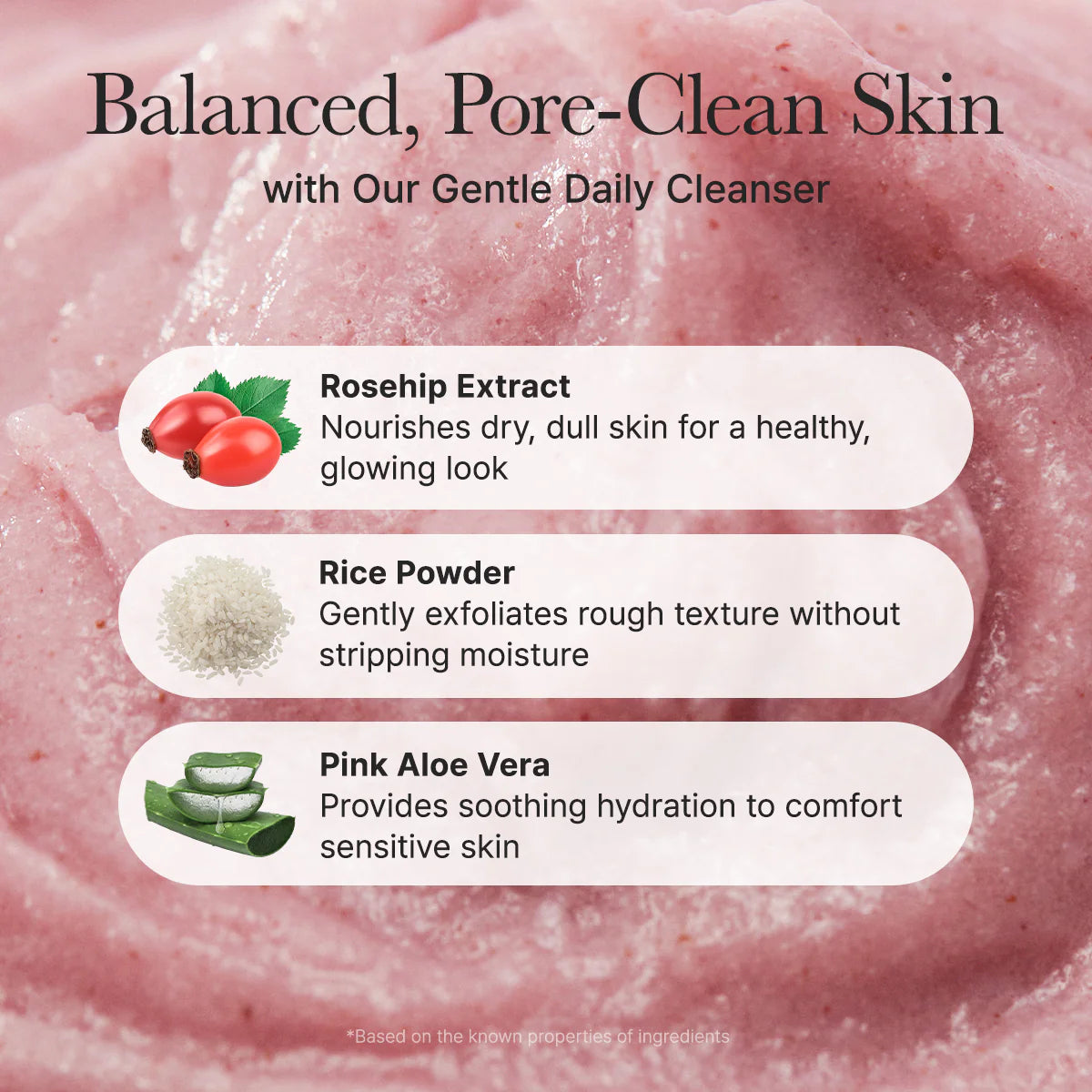 Fresh Rosehip Mochi Cleanser (120 g) / Arencia