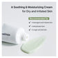 Crema Facial The Real Noni Energy Repair Cream / Celimax